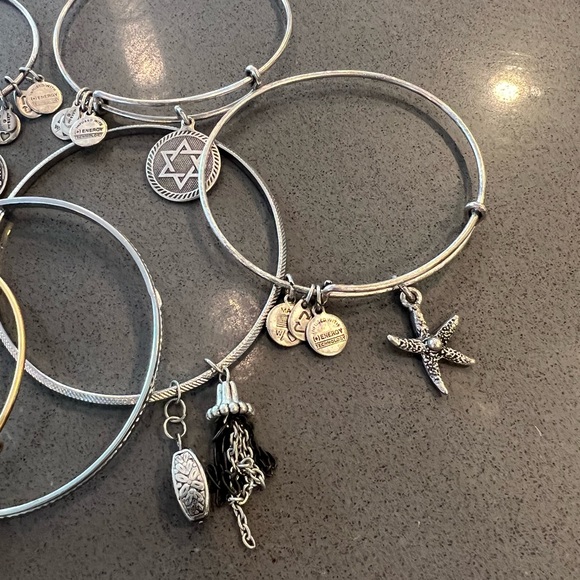 Alex and Ani - silver and gold bracelets - all different charms - Picture 6 of 6